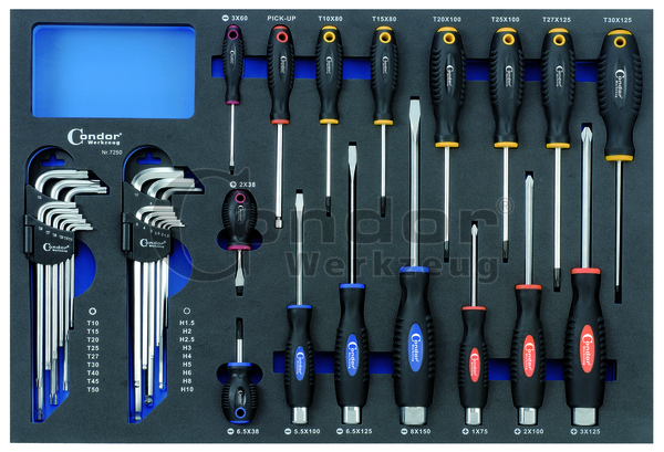 Avizar Kit d'outils complet réparation (tournevis, spatules